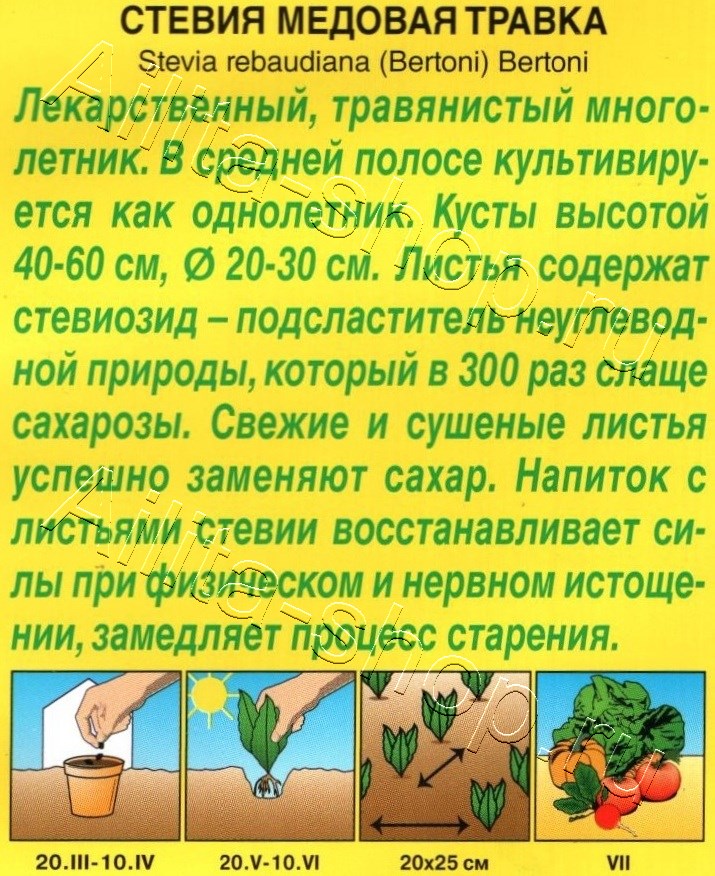 Язвенник Антисептик 0,2г