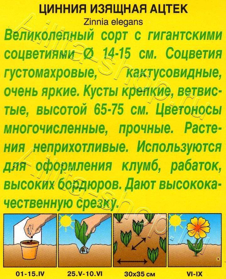 Цинния Ацтек 0,3г