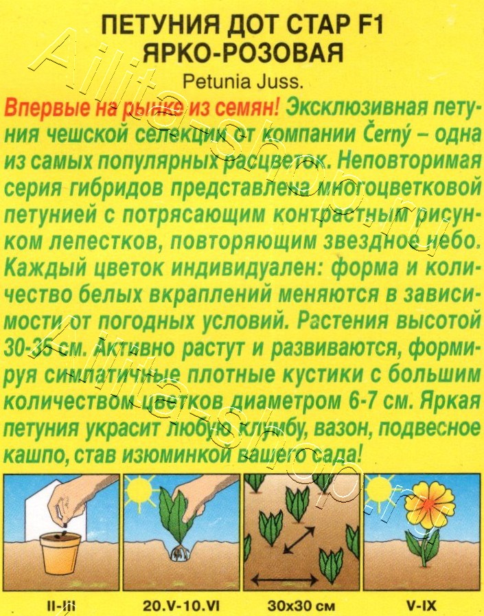 Петуния Дот Стар F1 ярко-розовая 7шт