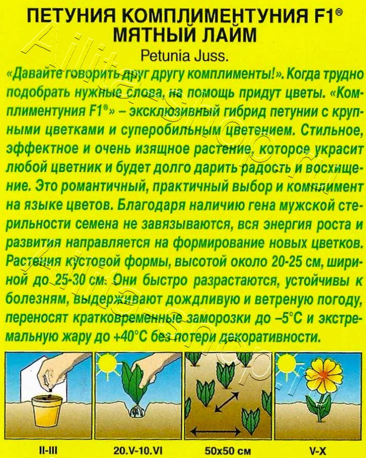 Петуния Комплиментуния F1 мятный лайм крупноцветковая 7шт