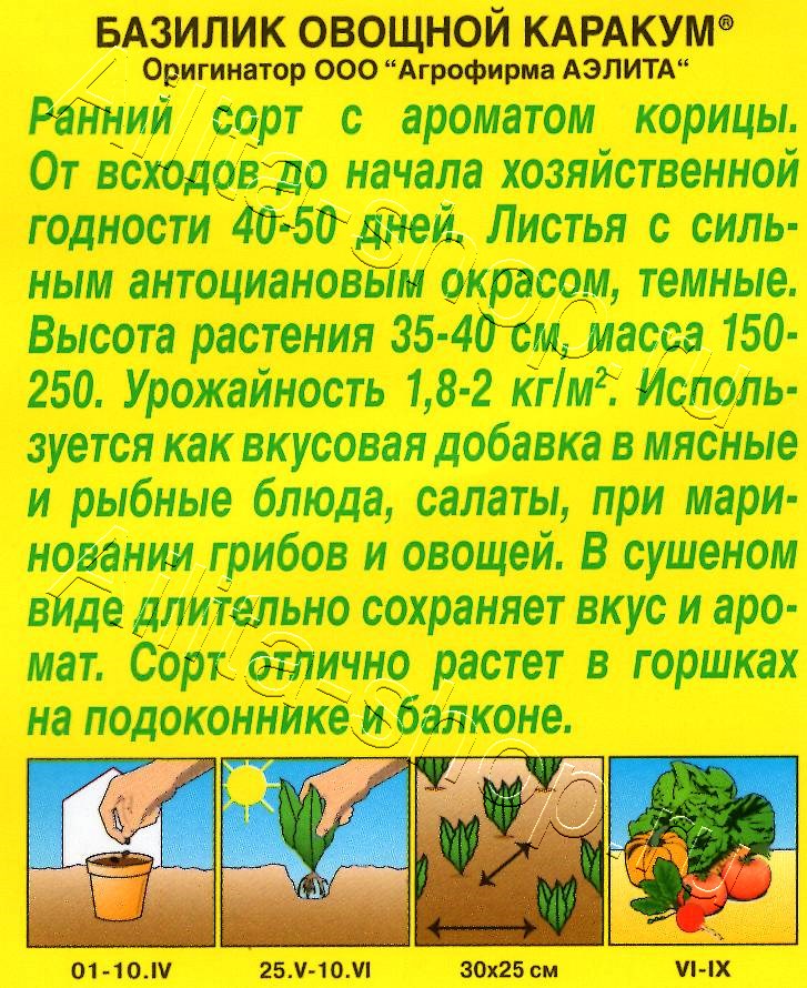 Базилик овощной Каракум 0,2г