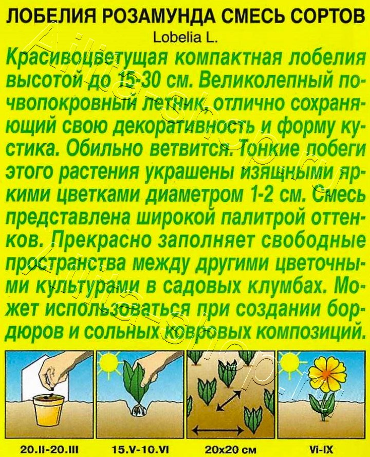 Лобелия Розамунда, смесь сортов 0,05г