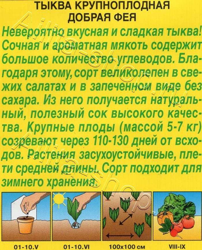 Тыква крупноплодная Добрая фея 1г