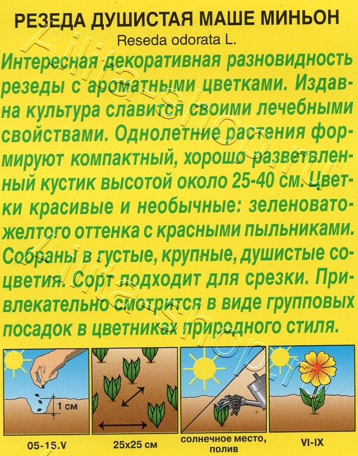 Резеда душистая Маше миньон 0,1г