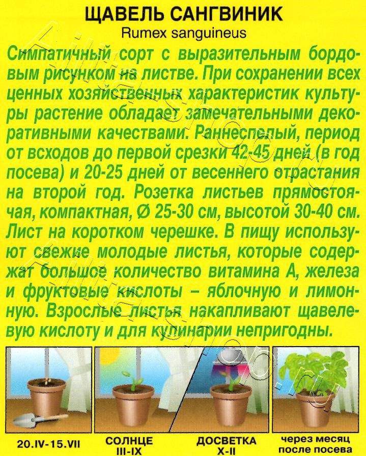 Щавель Сангвиник 0,05г