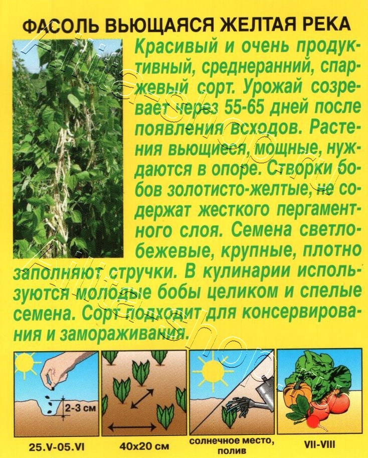 Фасоль вьющаяся Желтая река 5г
