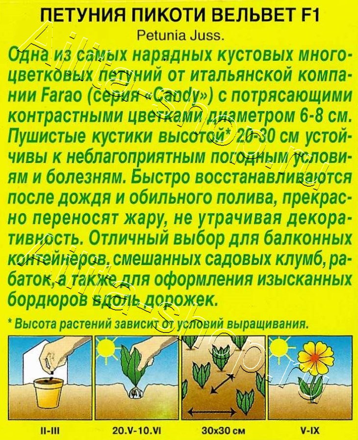 Петуния Пикоти Вельвет F1 многоцветковая 7шт