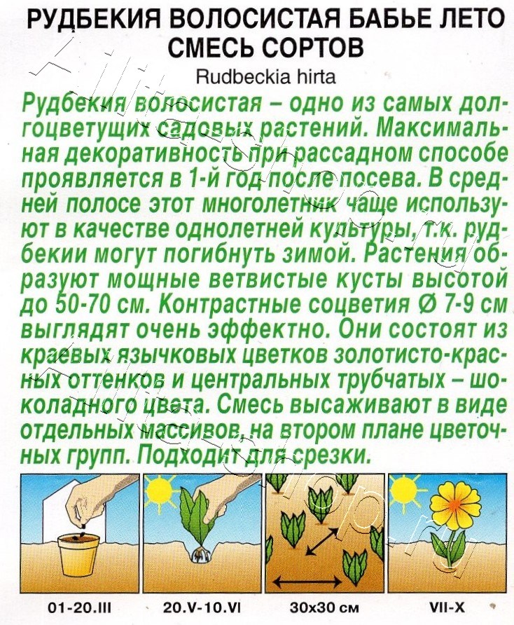 Рудбекия Бабье лето, смесь сортов 0,1г