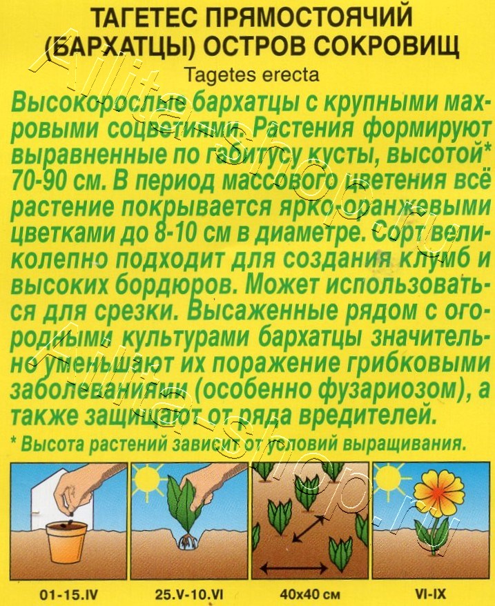 Бархатцы Остров сокровищ прямостоячие 0,1г