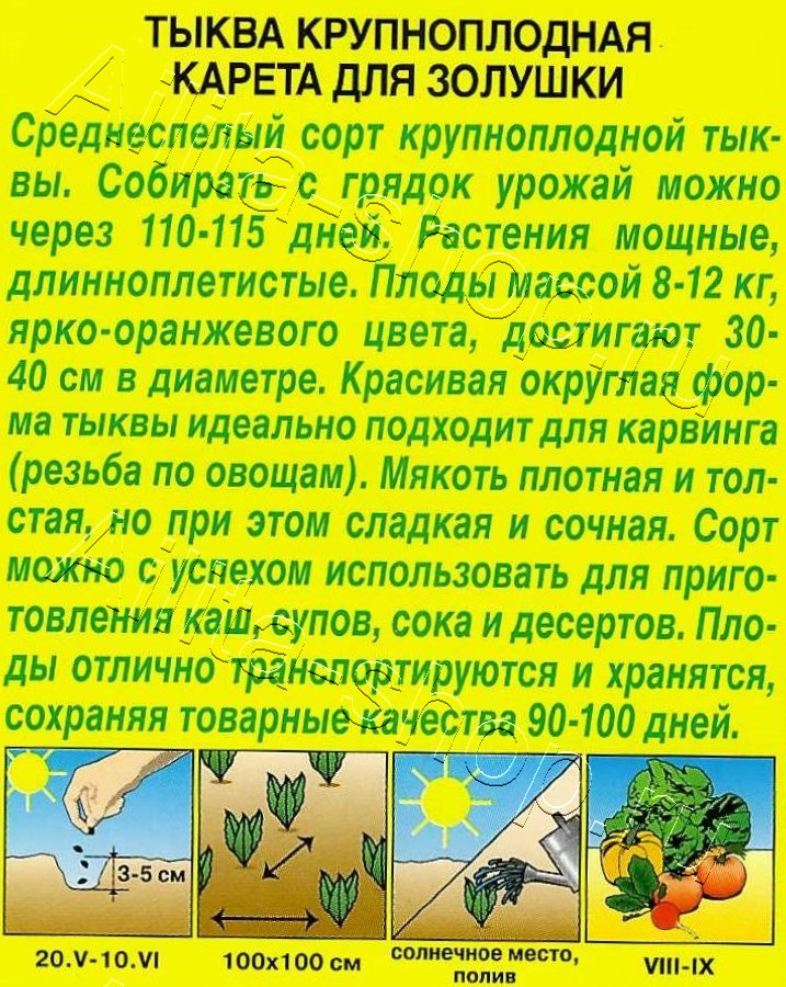 Тыква крупноплодная Карета для золушки 1г