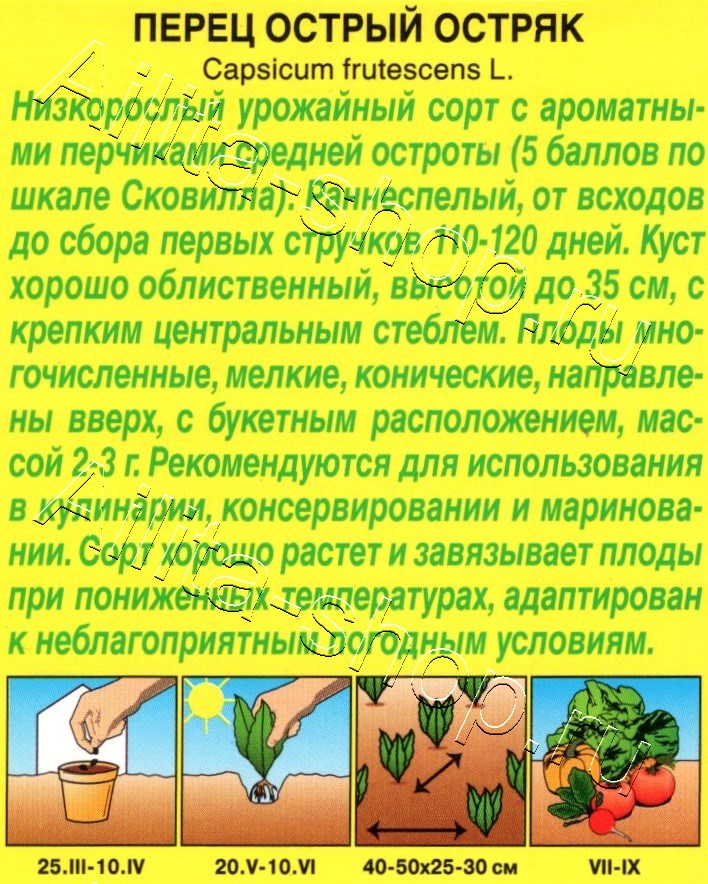 Перец острый Остряк 20шт
