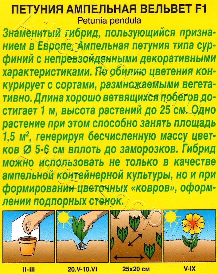 Петуния Вельвет F1 ампельная 4шт