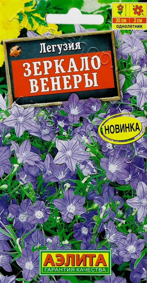 Легузия Зеркало Венеры 0,1г