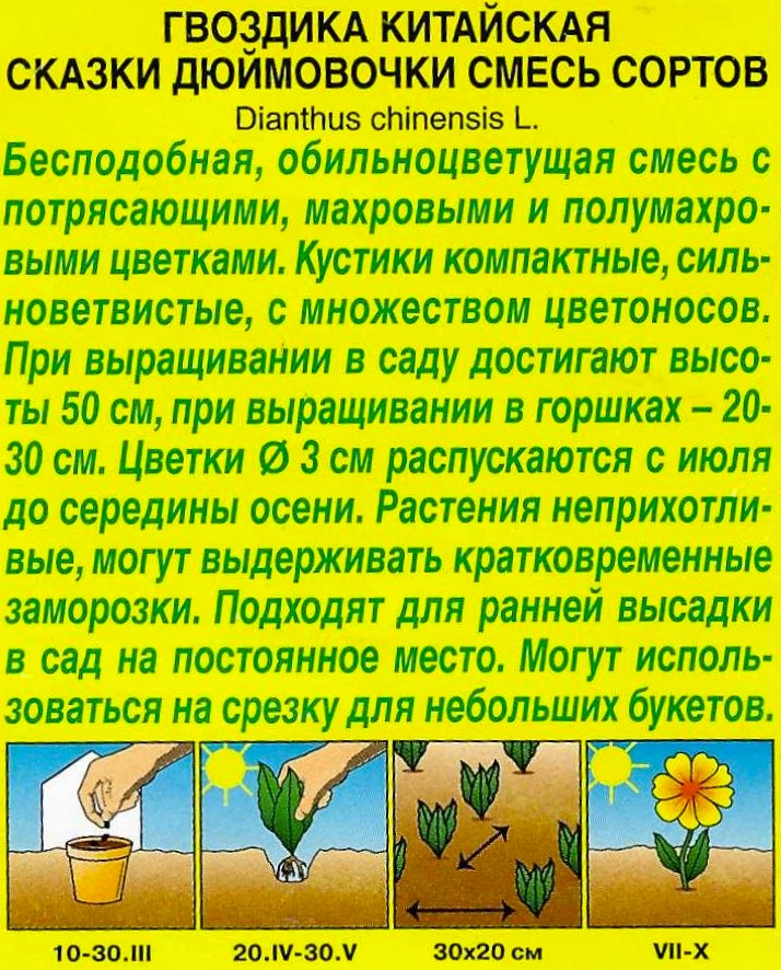 Гвоздика китайская Сказки дюймовочки, смесь сортов 0,05г