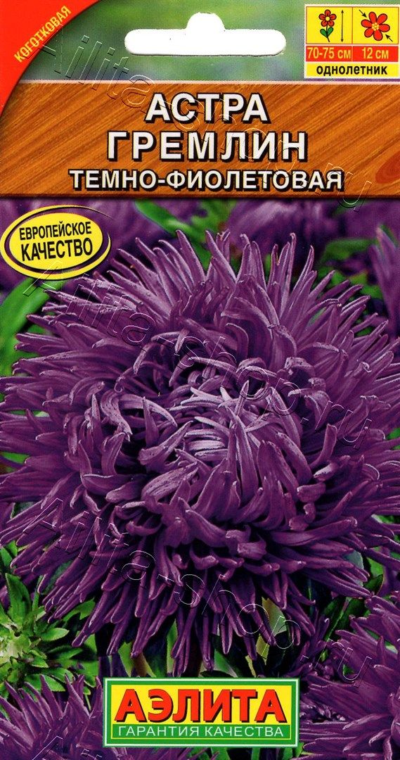 Астра Гремлин темно-фиолетовая 0,2г