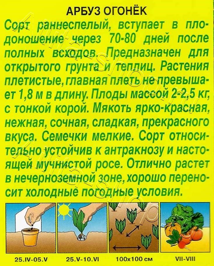 Арбуз Огонек 1г