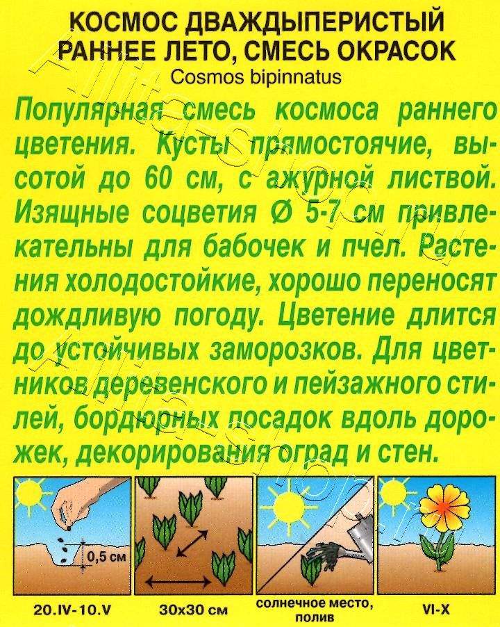 Космос (Космея) Раннее лето, смесь окрасок 0,3г