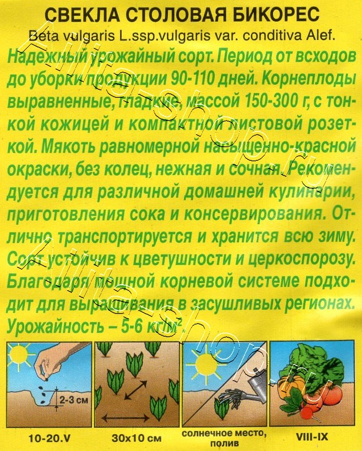 Свекла столовая Бикорес 2г