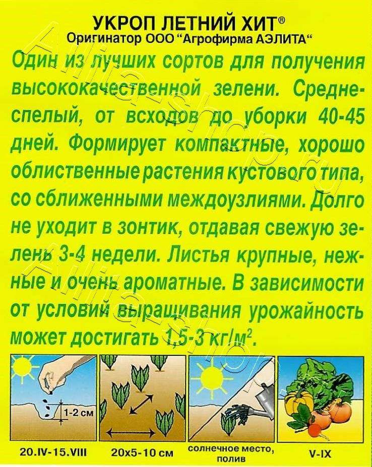 Укроп Летний хит 3г