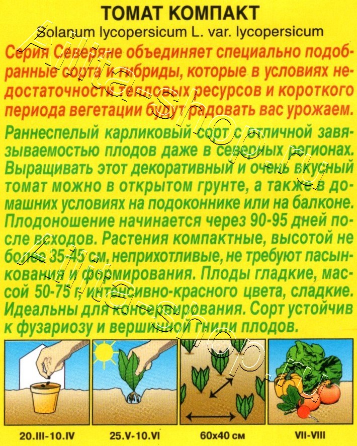 Томат Компакт  10шт