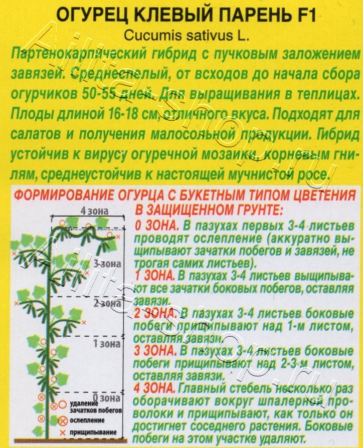 Огурец Клевый парень F1 10шт
