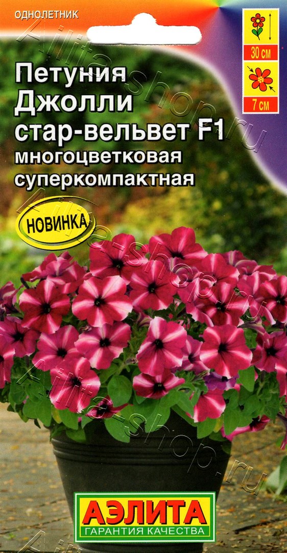 Петуния Джолли стар вельвет F1 многоцветковая 5шт