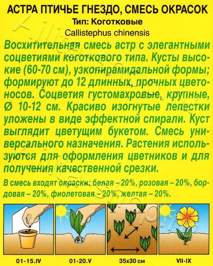 Астра Птичье гнездо, смесь окрасок 0,2г