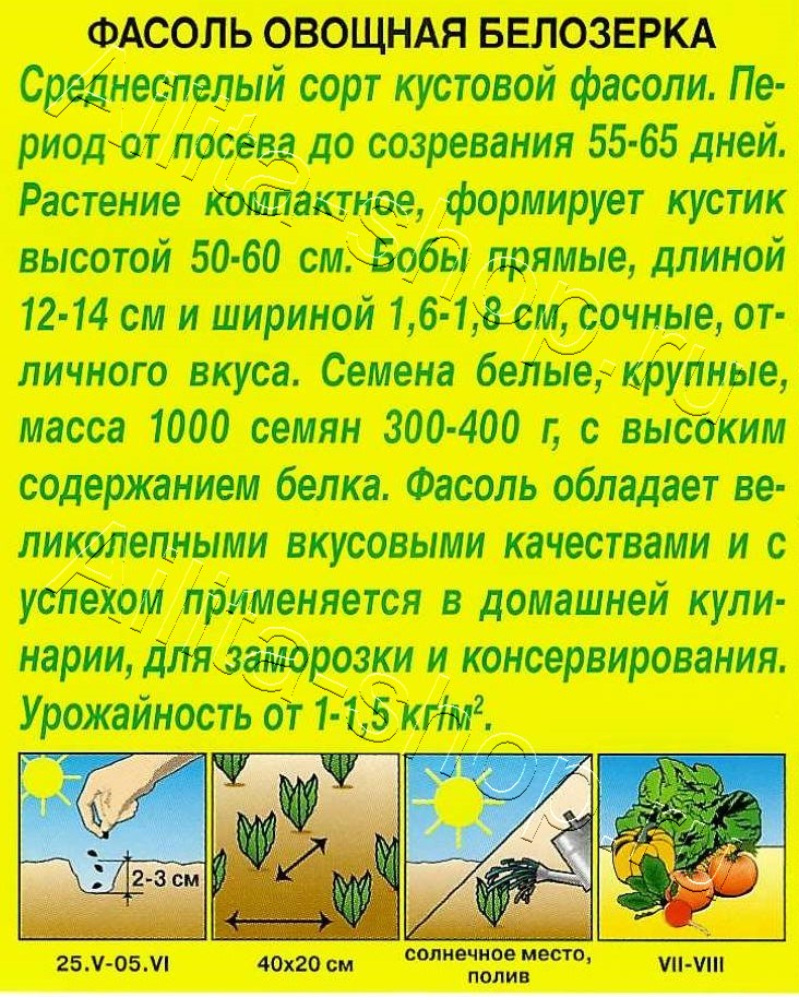 Фасоль овощная Белозерка 5г