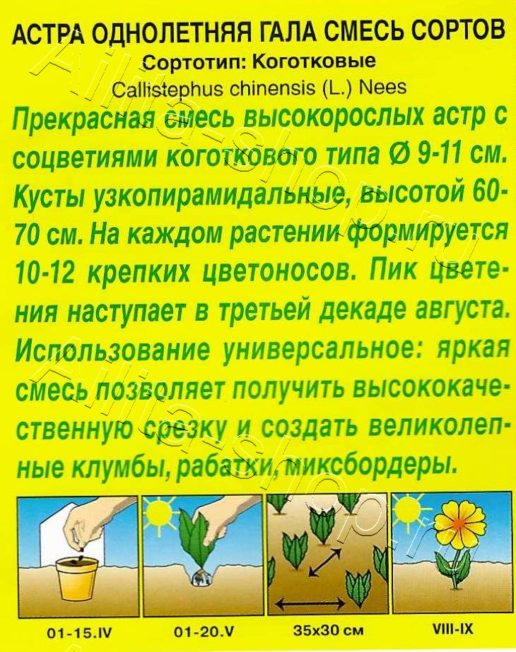 Астра Гала, смесь окрасок 0,1г