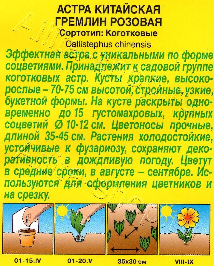 Астра Гремлин розовая 0,2г