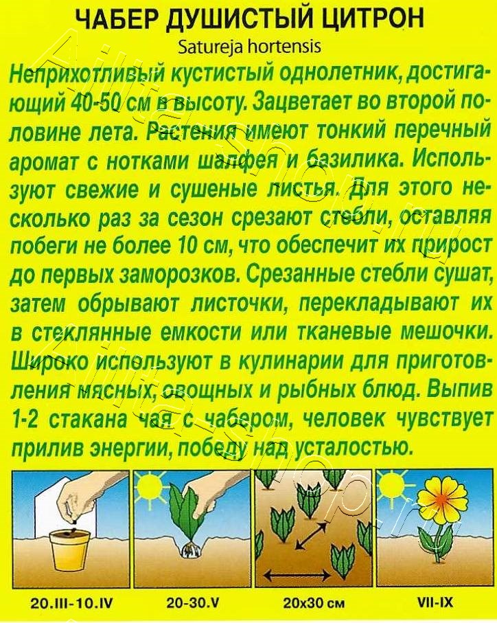 Чабер душистый Цитрон 0,1г