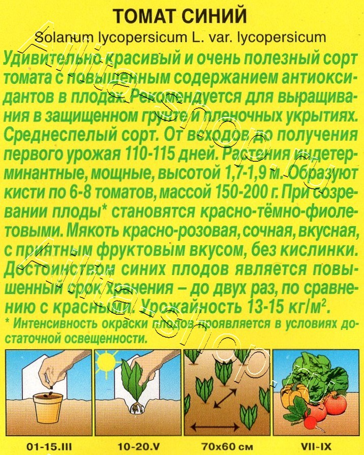 Томат Синий 15шт