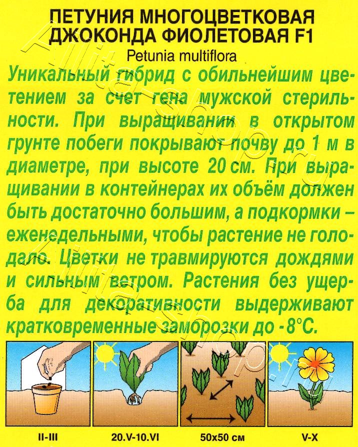 Петуния Джоконда F1 фиолетовая 5шт