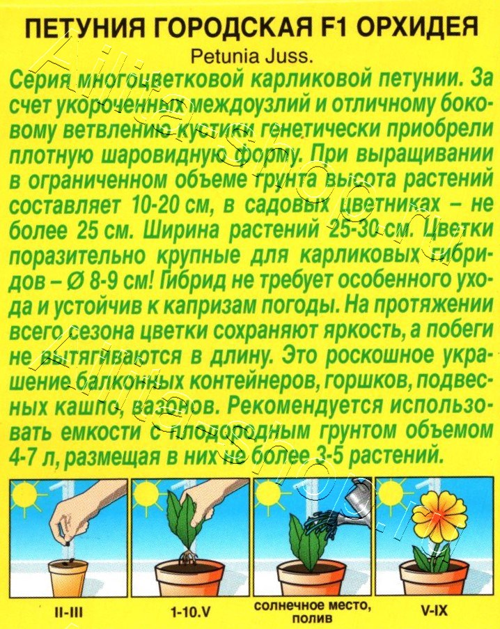 Петуния Городская F1 орхидея 7шт