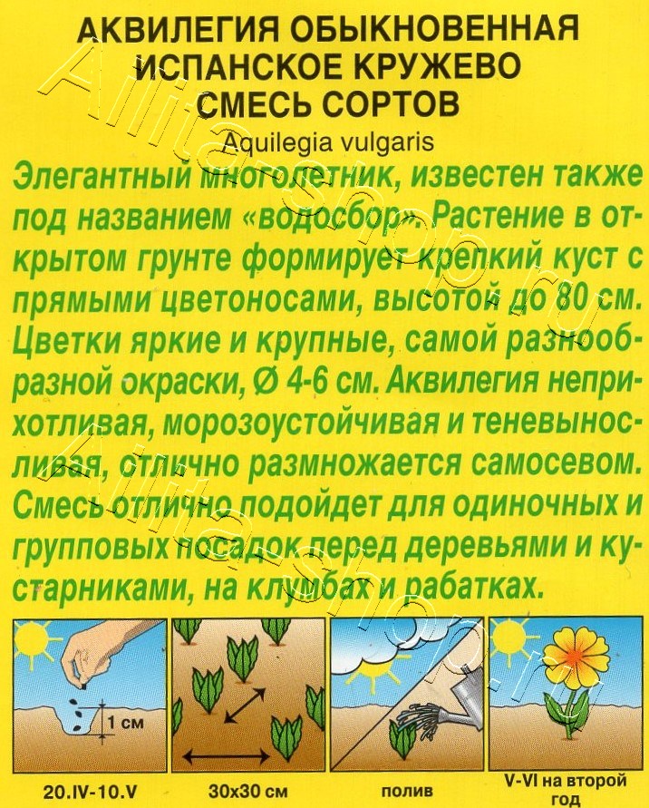 Аквилегия Испанское кружево, смесь сортов 0,2г