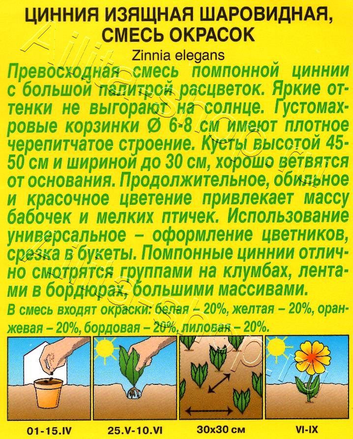 Цинния Шаровидная, смесь окрасок 0,5г