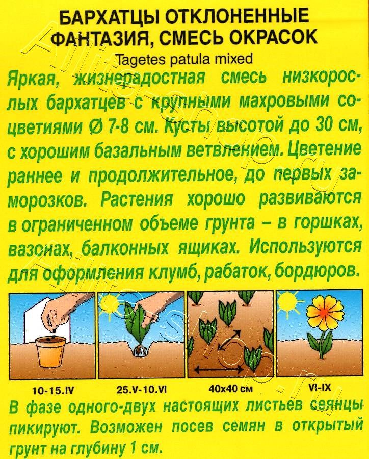 Бархатцы Фантазия отклоненные, смесь окрасок 0,1г