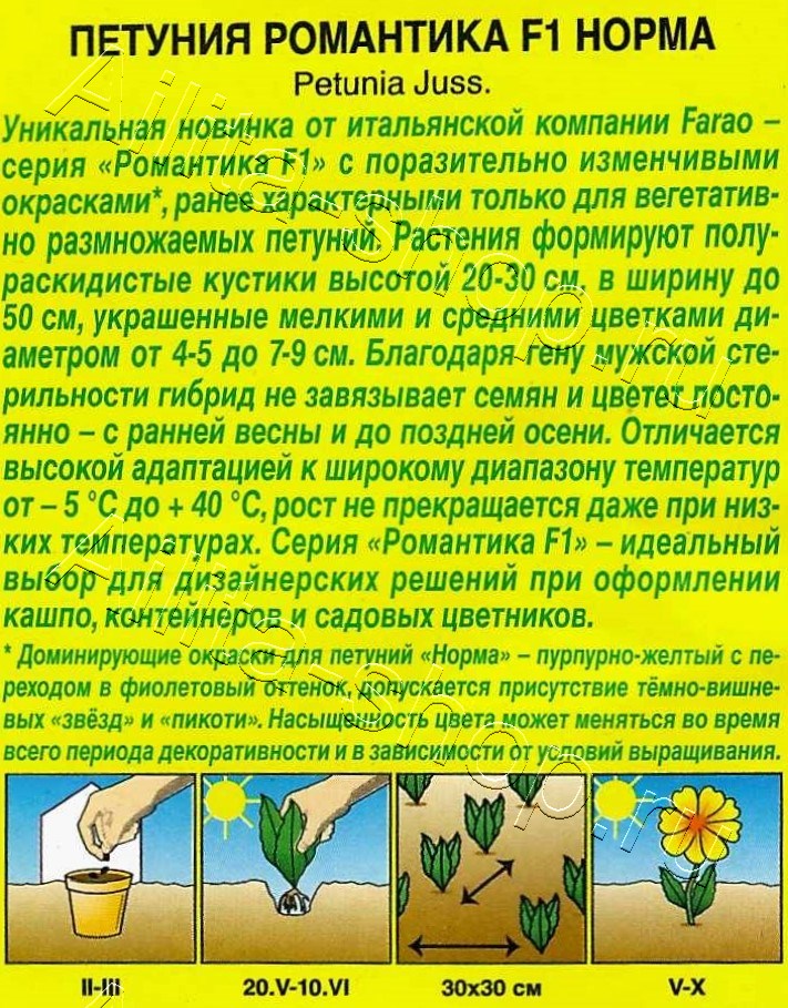 Петуния Романтика F1 норма 5шт