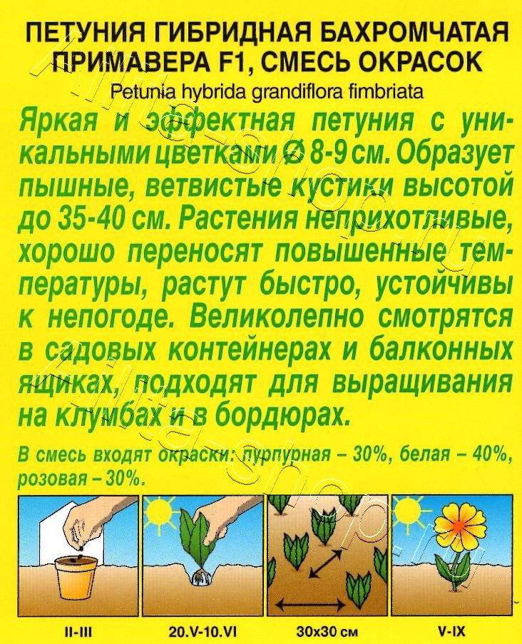 Петуния Примавера F1 бахромчатая, смесь окрасок 7шт