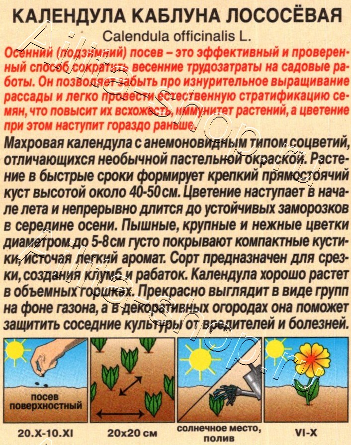 Календула Каблуна лососевая махровая 0,3г