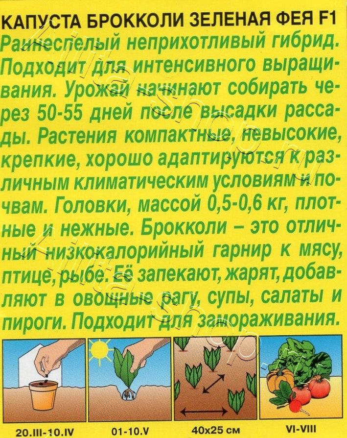 Капуста брокколи Зеленая фея F1 10шт