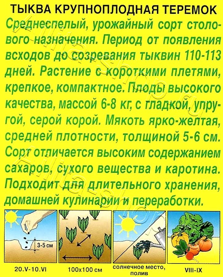 Тыква крупноплодная Теремок 2г