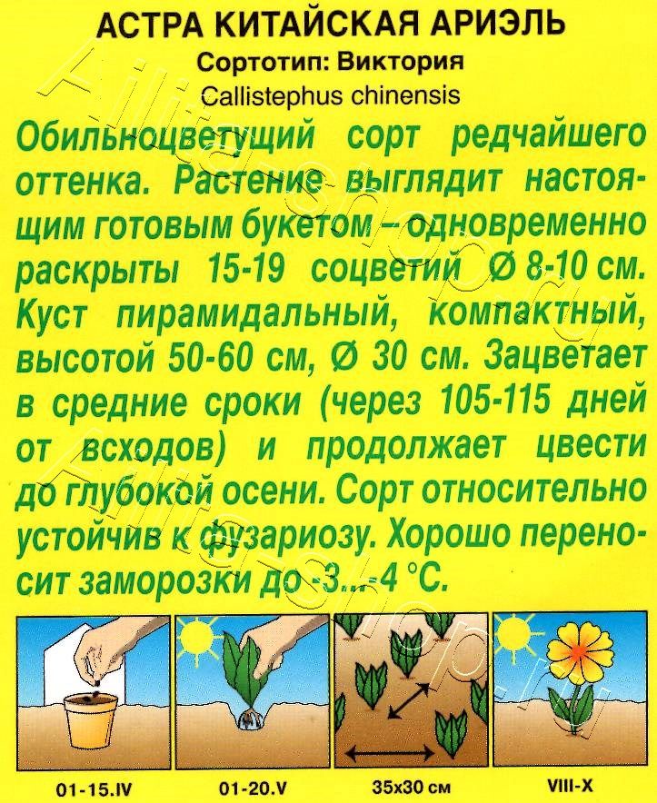 Астра Ариэль 0,2г