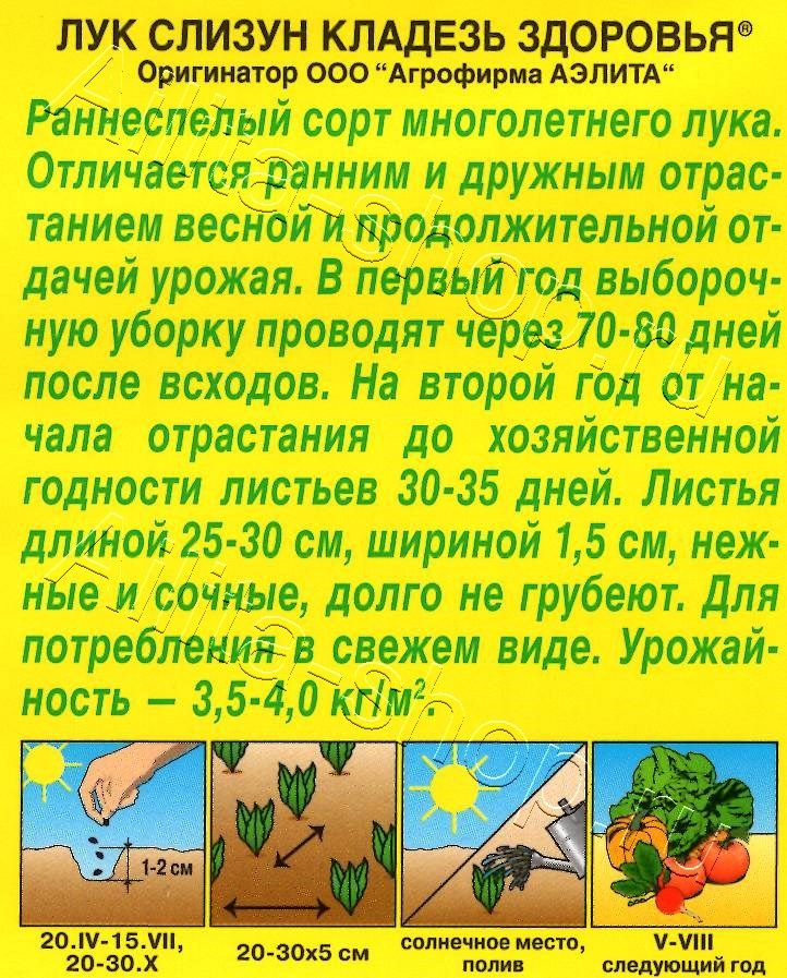 Лук слизун Кладезь здоровья 0,5г