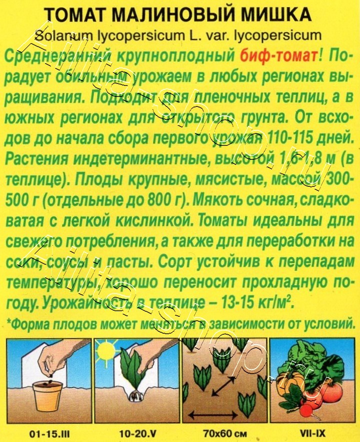 Томат Малиновый Мишка 15шт