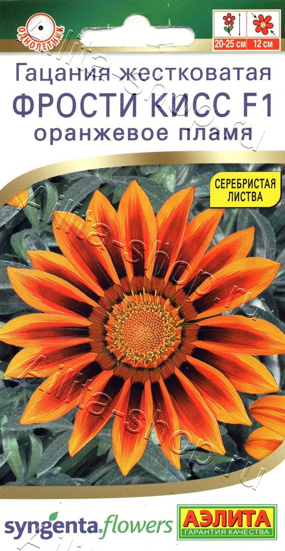 Гацания Фрости кисс F1 пламя, смесь сортов 4шт
