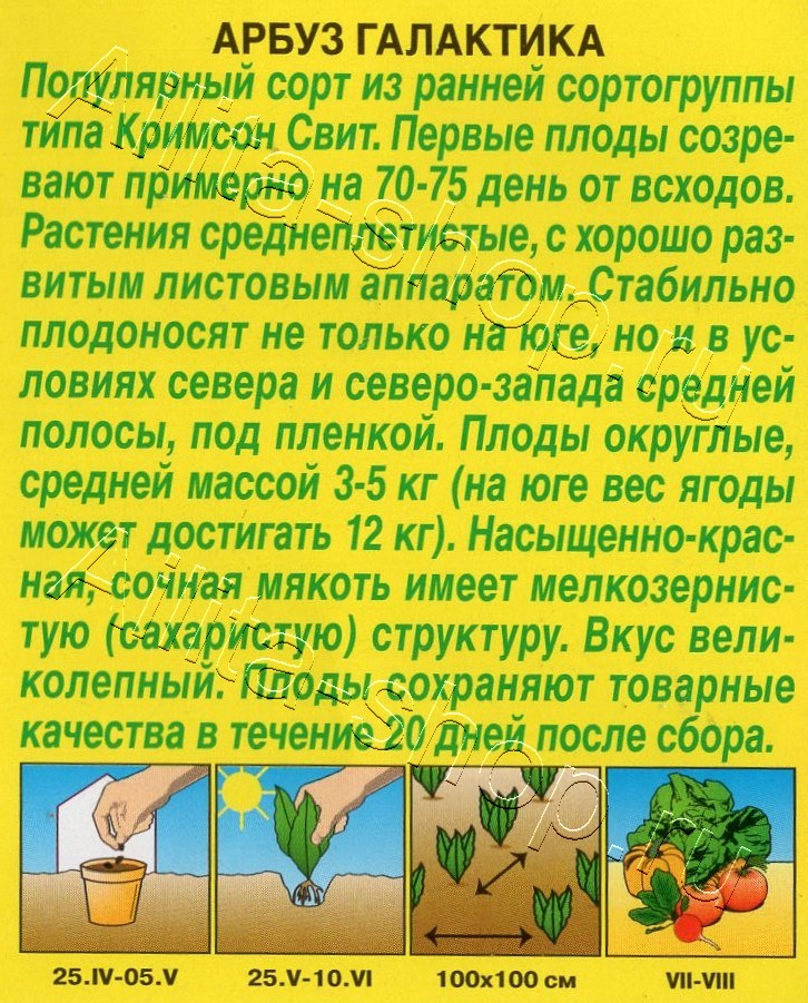 Арбуз Галактика 1г