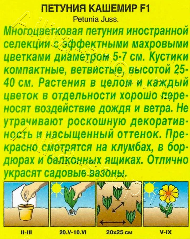 Петуния Кашемир F1 обильноцветущая махровая 5шт