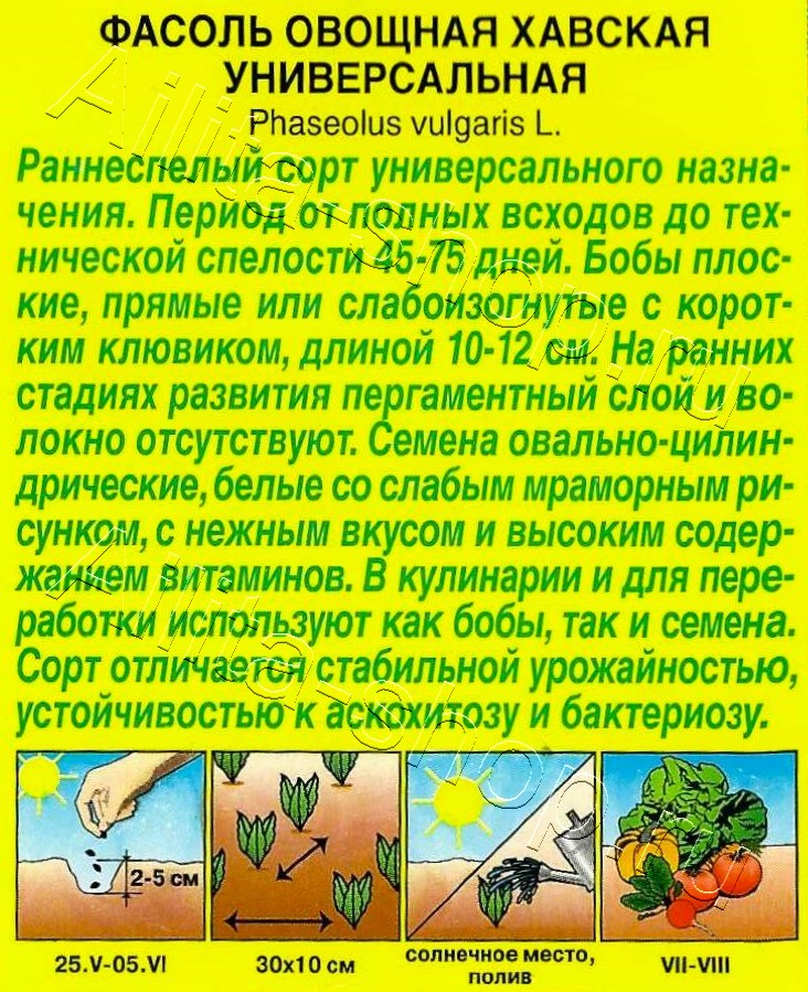 Фасоль овощная Хавская универсальная 5г