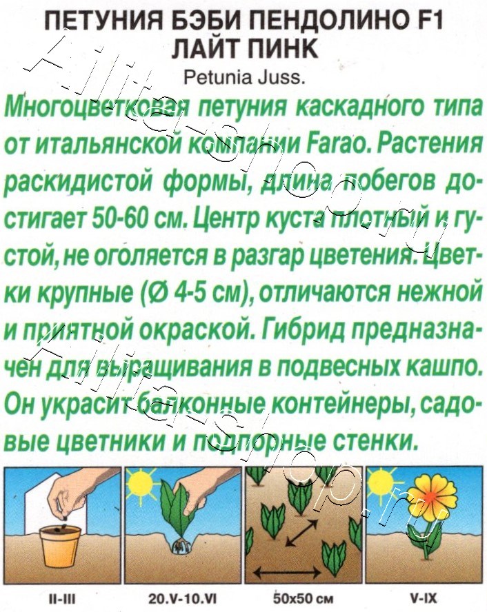 Петуния Бэби пендолино F1 лайт пинк 5шт